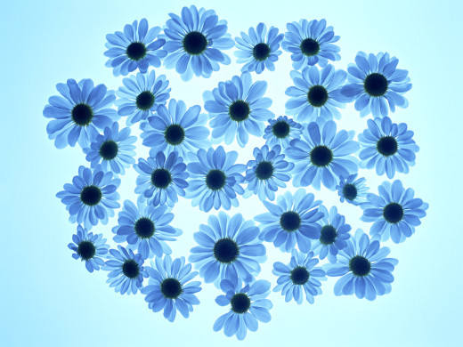 421625 (a): :1600x1200